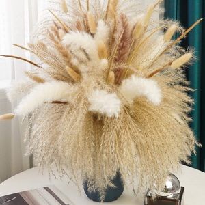 Meet your Posher, Carmen